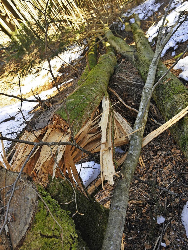 Der Schneebruch in den Wldern oberhal...016 mit hohen Wegebaukosten zu Buche.   | Foto: Bergmann