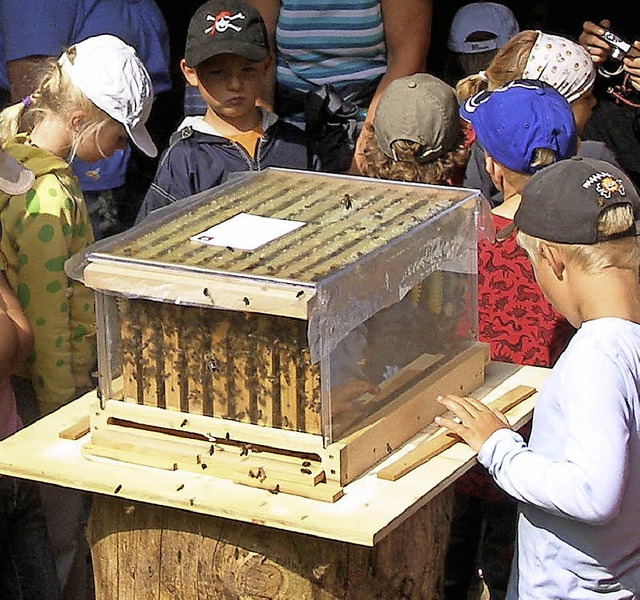Der nchste Sommer kommt bestimmt und mit ihm die Besucher am Bienenstand.   | Foto: Liane Schilling