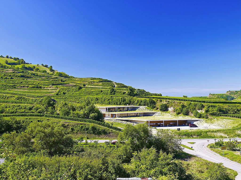 Weingut Keller: „Das Weingut lässt sich als ideale Vereinigung zwischen den Anforderungen an einen landwirtschaftlichen Nutzbau und seiner Einbindung in die Landschaft begreifen.“ Weingut Keller: „Das Weingut lässt sich als ideale Vereinigung zwischen den Anforderungen an einen landwirtschaftlichen Nutzbau und seiner Einbindung in die Landschaft begreifen.“