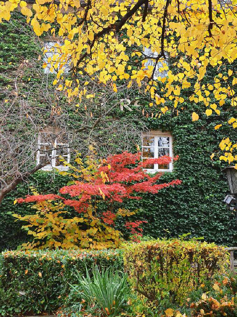 Der goldene Oktober macht seinem Namen alle Ehre.