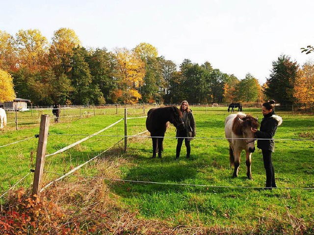 Auf dieser Pferdeweide bei Hugstetten,...der Pferde  sind aber nicht in Sicht.   | Foto: manfred frietsch