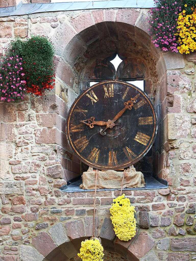 Wenn die Sonne ber den Chrysanthemen in der Lahrer Innenstadt liegt, dann durchbricht eine fulminante Farbenpracht das Grau des Novembers und lsst die Besucher nur noch staunen, was Handwerkskunst und Wetter gemeinsam mglich machen.