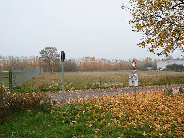 Eine der mglichen Alternativen fr Fl...n Seite der Landstrae bei Hugstetten.  | Foto: Manfred Frietsch