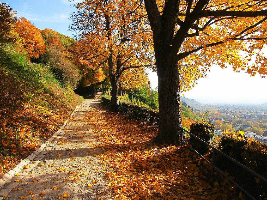 Herbst am Schlossberg