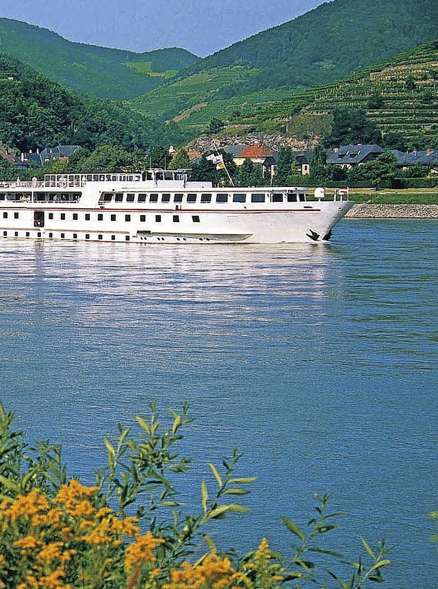 Flussfahrt auf der Donau  | Foto:  honorarfrei