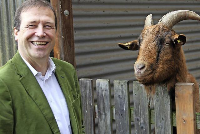 Tierpension ist sehr gefragt - Tierheim fr Sommer 2016 teilweise ausgebucht