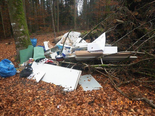 Ein 50-Jhriger hat sich seinen Umzug ...t und seinen Hausrat im Wald entsorgt.  | Foto: Polizei