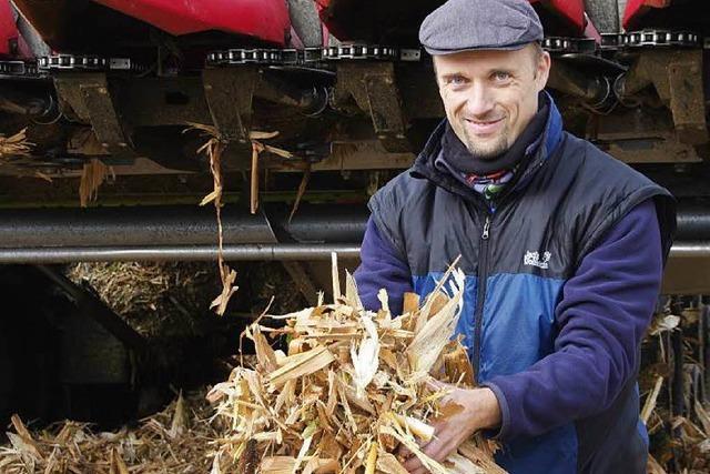 Kann Maisstroh in Biogasanlagen zu Energie zu verarbeitet werden?