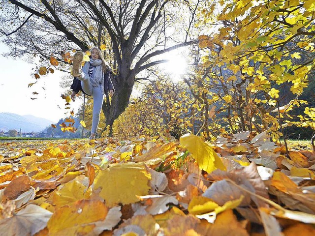 Superherbst in Freiburg, das Foto entstand im Stadtteil Gnterstal.  | Foto: Michael Bamberger