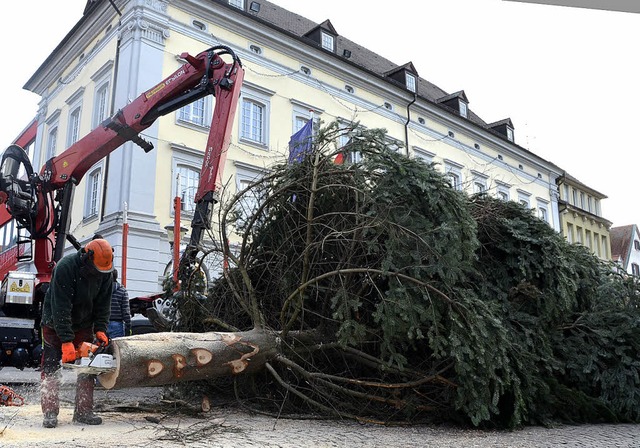   | Foto: Helmut Seller