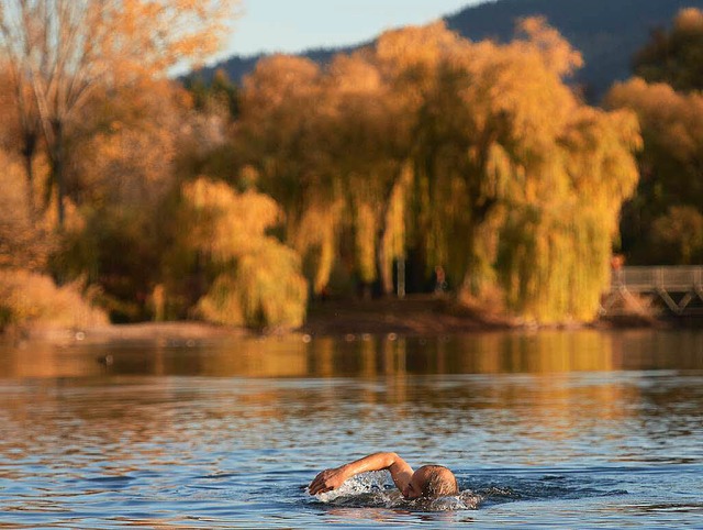 Peter Wilhelm schwimmt am Samstag im F...In Freiburg wurden 23,3 Grad gemessen.  | Foto: dpa