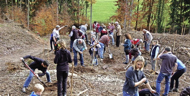 Graben in felsigem Untergrund: Die 100 Baumpaten hatten keinen leichten Job.   | Foto: Christian Ringwald