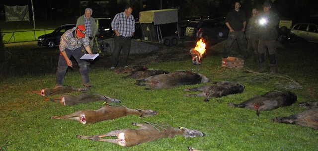 Sechs Wildscheine und fnf Rehe zhlte...in den Revieren Minseln und Nollingen.  | Foto: Gerd Lustig