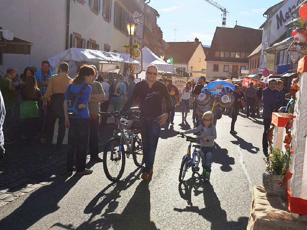 Rekordverdchtig: Der Martinimarkt 2015 in Elzach