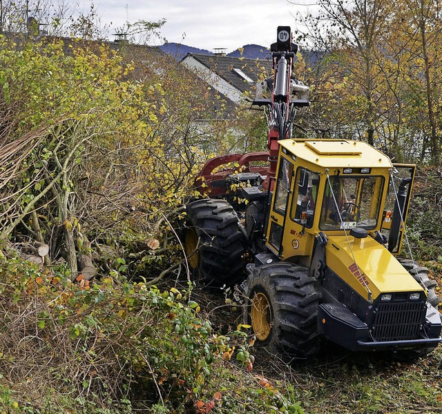 Ein Fahrzeug mit Greifarm entfernte Strucher und Bume.    | Foto: Schuler