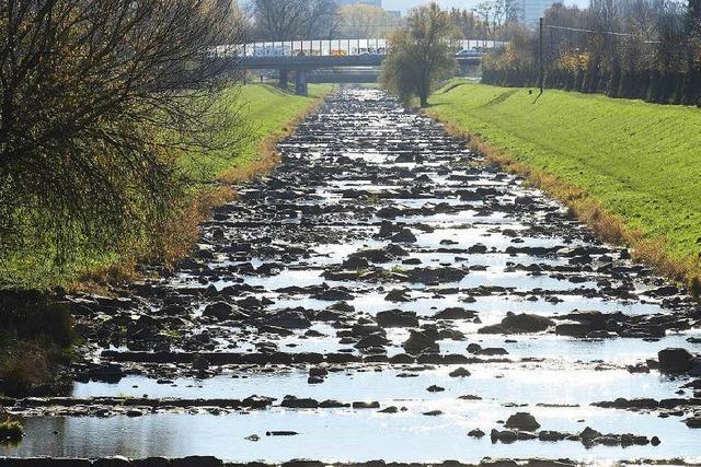 Trockenheit in Freiburg: Dreisam-Pegel fllt auf 17 Zentimeter