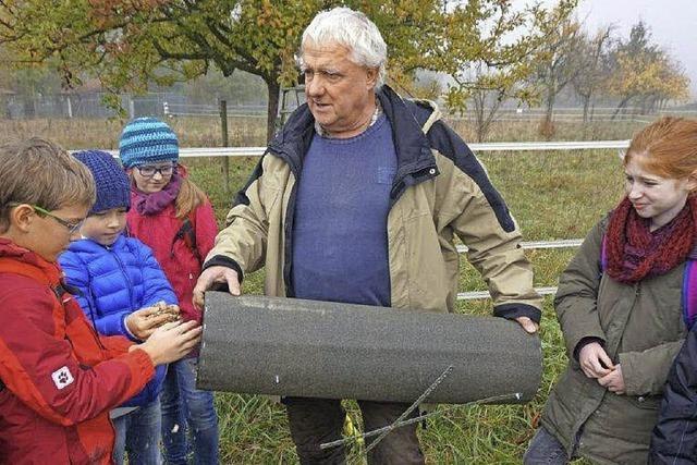 Nachwuchs auf der Streuobstwiese