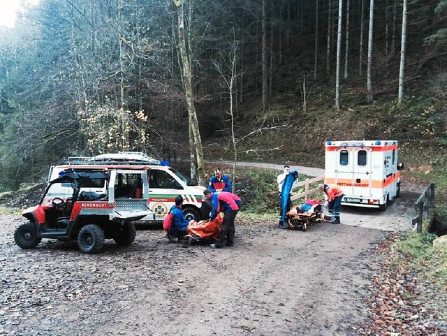 Die Bergwacht Waldkirch wurde zu einem Einsatz in Wildgutach alarmiert.  | Foto: Verein