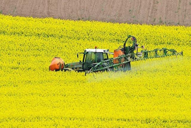 EU-Behrde verteidigt das Pflanzengift Glyphosat
