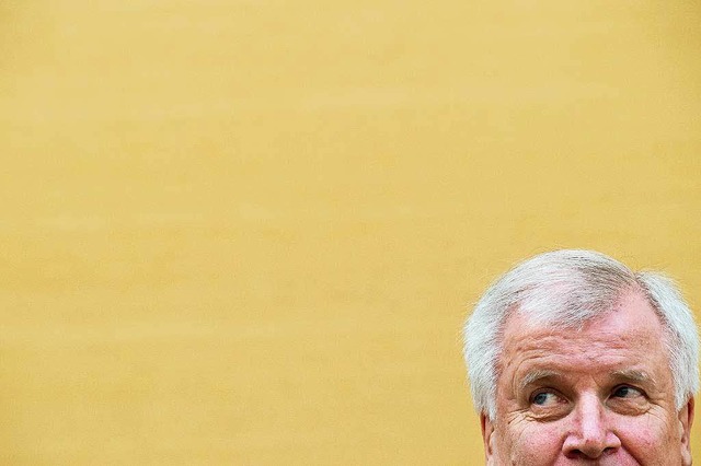 Sieht einen Zusammenhang zwischen Terr...trierten Flchtlingen: Horst Seehofer.  | Foto: dpa