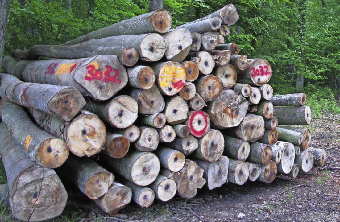 Hickhack um die Holzvermarktung - Kreis Lörrach - Badische ...