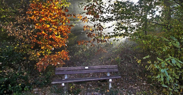 Herbststimmung auf dem Weg zur Hochburg  | Foto: Angelika Winkler