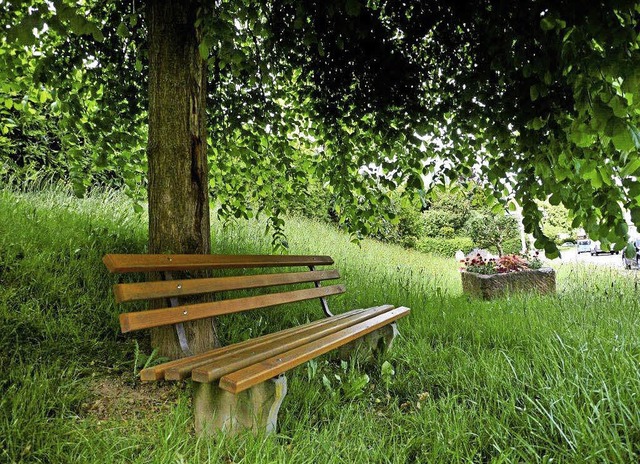 Ruhebank bei der Michaelskapelle   | Foto: Stadt Ettenheim