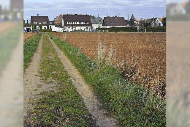 Zelthalle fr Flchtlinge soll wohl auf Kppelematten gebaut werden