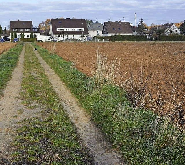 Auf der rechten Seite des Feldweges im...trae der Favorit des Landratsamts.     | Foto: Max Schuler