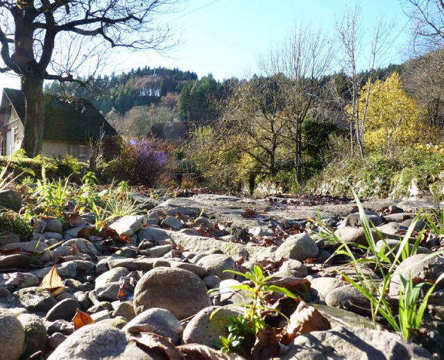 Im blanken Flussbett der Kleinen Wiese...nd bei den Wasserkraftwerken am Fluss.  | Foto: Sattelberger