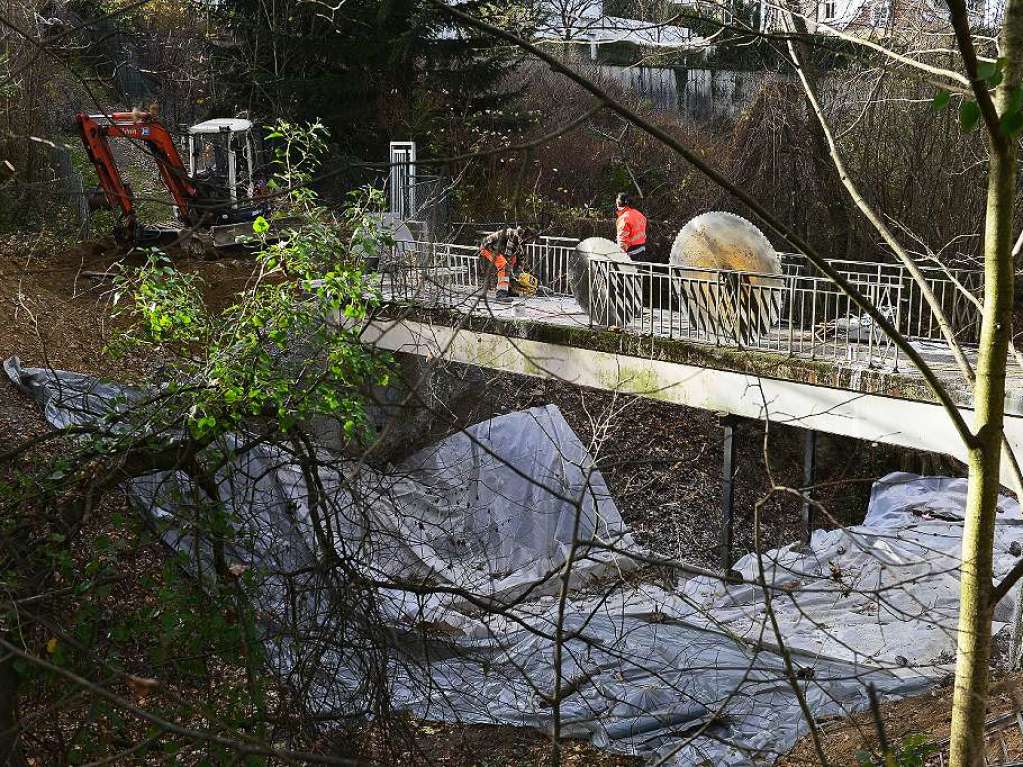 Einen Abriss und Neubau schloss das Garten- und Tiefbauamt (GuT) 2011 noch aus, Kosten und Nutzen des Stegs stnden in keinem Verhltnis.