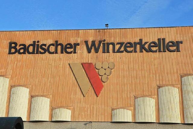 Peter Schuster wird neuer Chef beim Badischen Winzerkeller