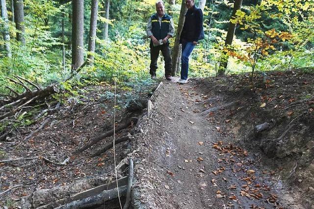 Illegale Mountainbike-Strecken sorgen fr rger im Wald von Au