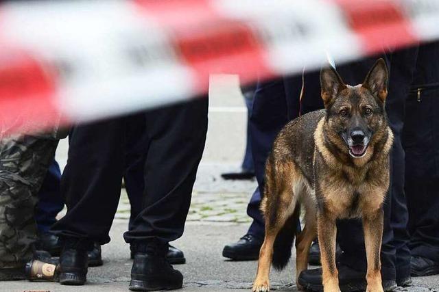 Herrenloser Koffer sorgt fr Polizeieinsatz in der Fugngerzone