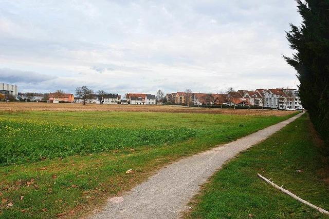 Neues Baugebiet im Norden der Stadt geplant