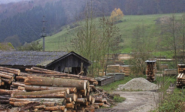 Kleine Parzellen und kaum Wege: Eine F...luss machen mit solchen Widrigkeiten.   | Foto: Ingrid Bhm-Jacob