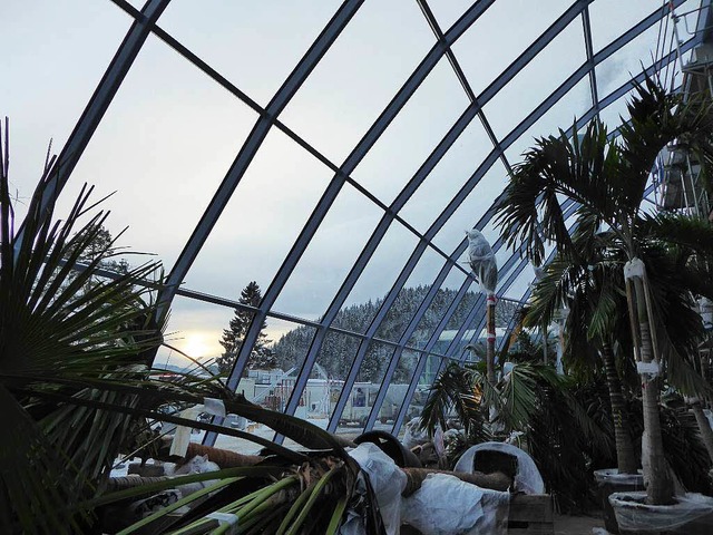 Blick ber Palmen in die untergehende ... Relax mit der gewlbten Glasfassade.   | Foto: Peter Stellmach