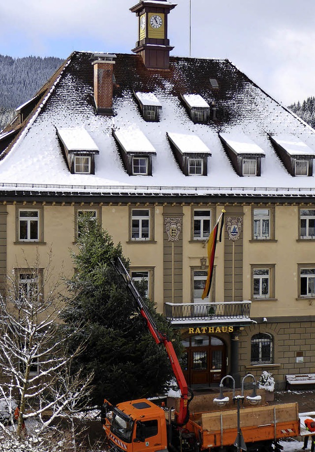 Weihnachten, Christbaum, literarischer Adventskalender  | Foto: Peter Stellmach