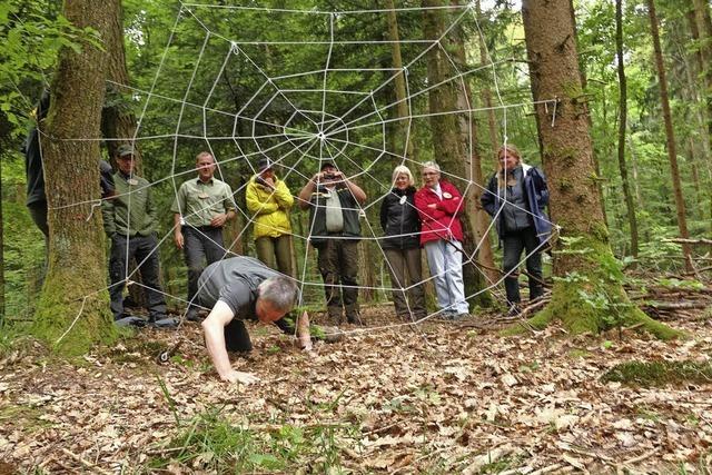 Kindern Wald nherbringen