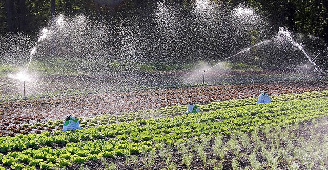 Jeder Landwirt kann eine  Wasserentnah...ucht wird, zeigt der Zhler am Rohr.    | Foto: Symbolbild: Lauber