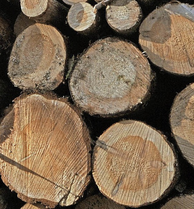 8500 Festmeter Holz sollen 2016  geschlagen werden.  | Foto: DPA