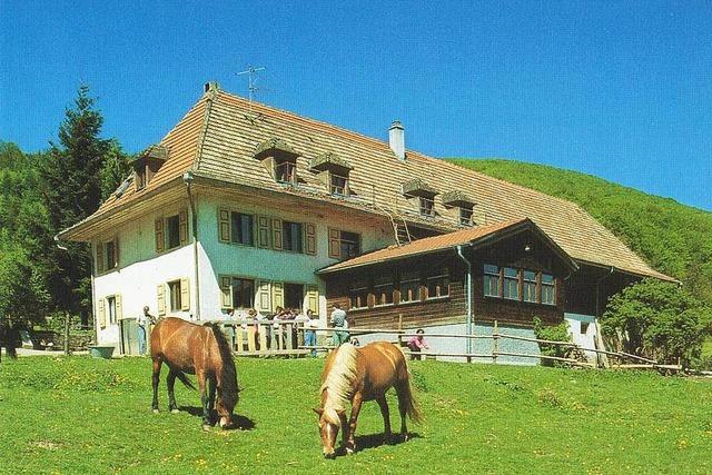 Platzhof (Jugendherberge und Reiterhof)