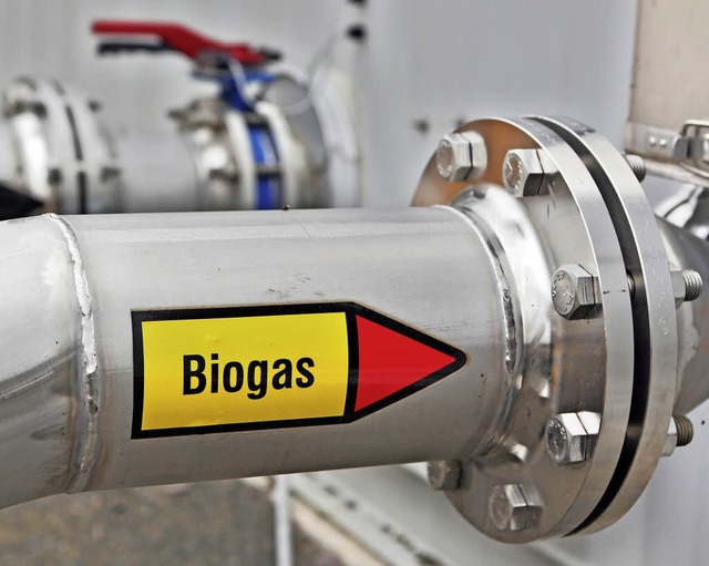Knnte zehn Prozent des deutschen Energiebedarfs decken: Gas aus Biomasse.   | Foto: dpa