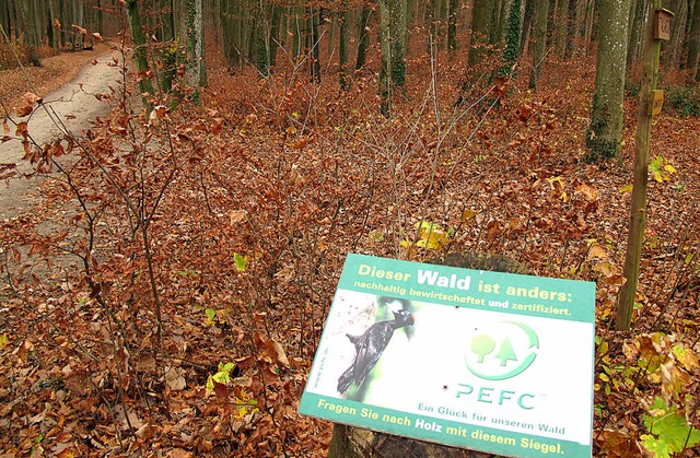 Der Hertinger Wald ist eine Wertanlage...t - Eichen sollen aufgeforstet werden.  | Foto: Jutta Schtz