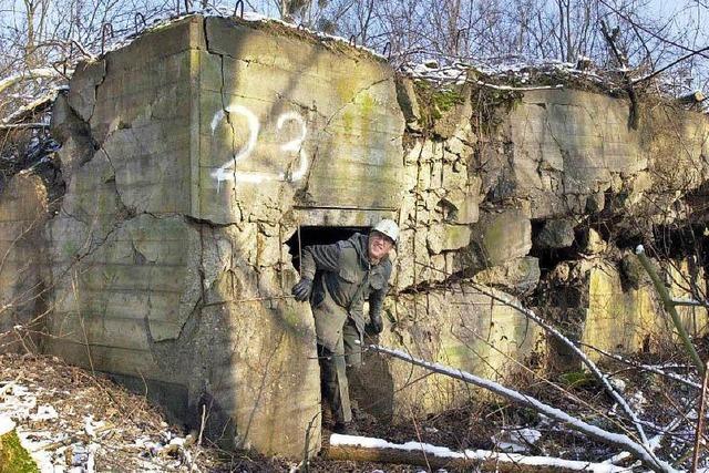 Viele Bunker-Ruinen sind heute wertvolle Biotope