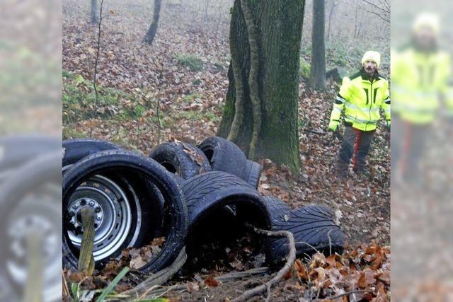 Der Wald wird als illegale Mlldeponie benutzt