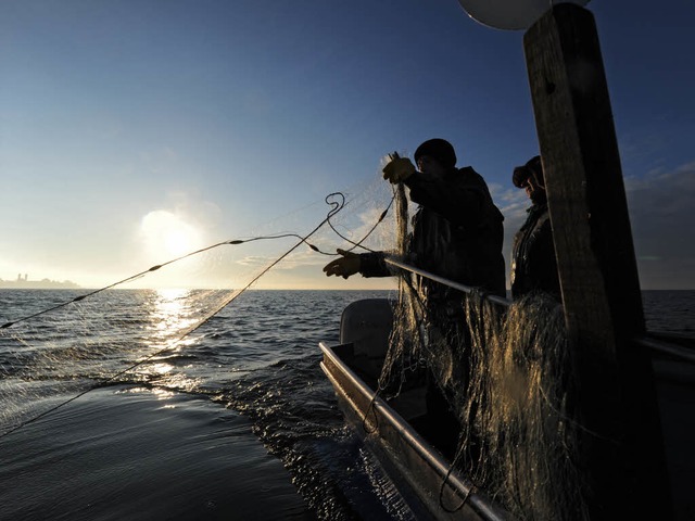 Fischfang auf dem Bodensee: Sieht idyllisch aus, ist aber ein hartes Geschfft.  | Foto: dpa