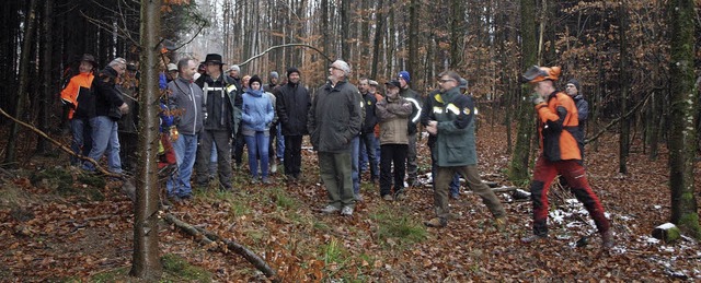 Viele Informationen rund um die Forstw...ehung des Herbolzheimer Gemeinderats.   | Foto: Michael Haberer