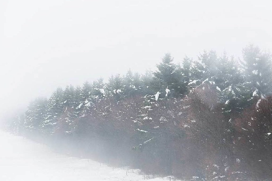 Gespenstisch: der Schauinsland im Spätherbst. (Foto: Carlotta Huber) Gespenstisch: der Schauinsland im Spätherbst. (Foto: Carlotta Huber)