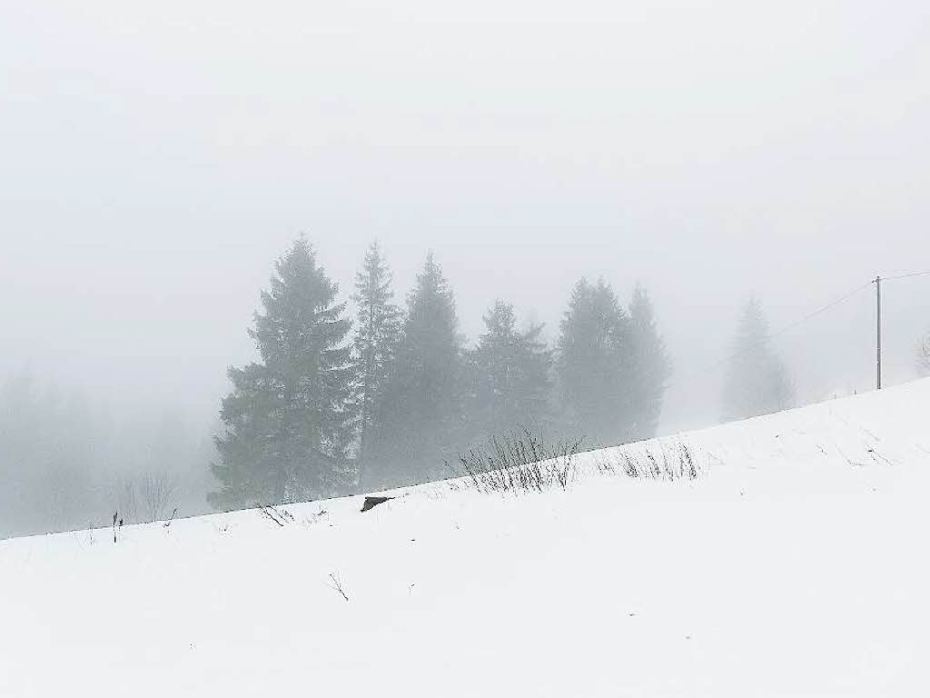 Gespenstisch: der Schauinsland im Sptherbst.